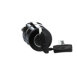 Glava izborne preklopke s ključem, 2 fiksna položaja